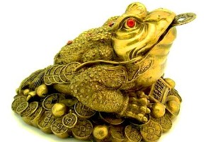 парична магическа крастава жаба